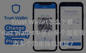 Trust Wallet怎么下载 如安在Trust Wallet中惩办多个加密钱包地址？