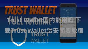 Trust Wallet国内能用吗 下载Trust Wallet治安简要教程